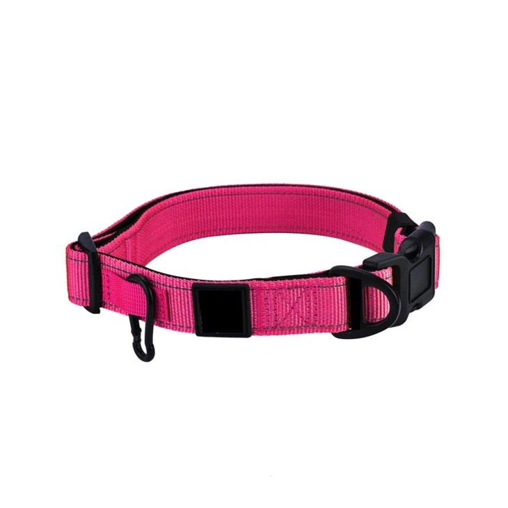 Blue Dog Collar