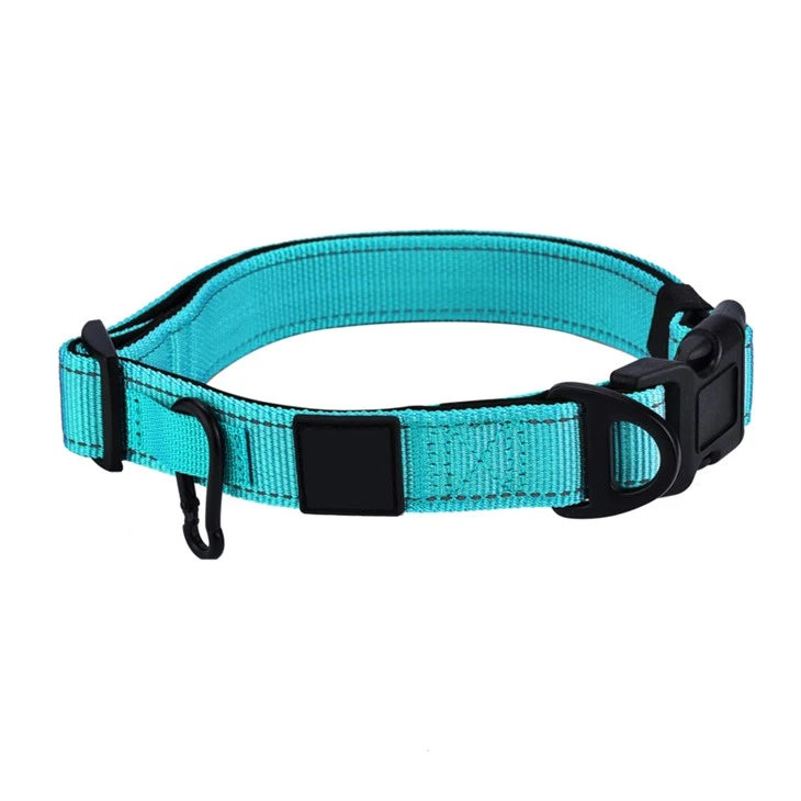 Blue Dog Collar
