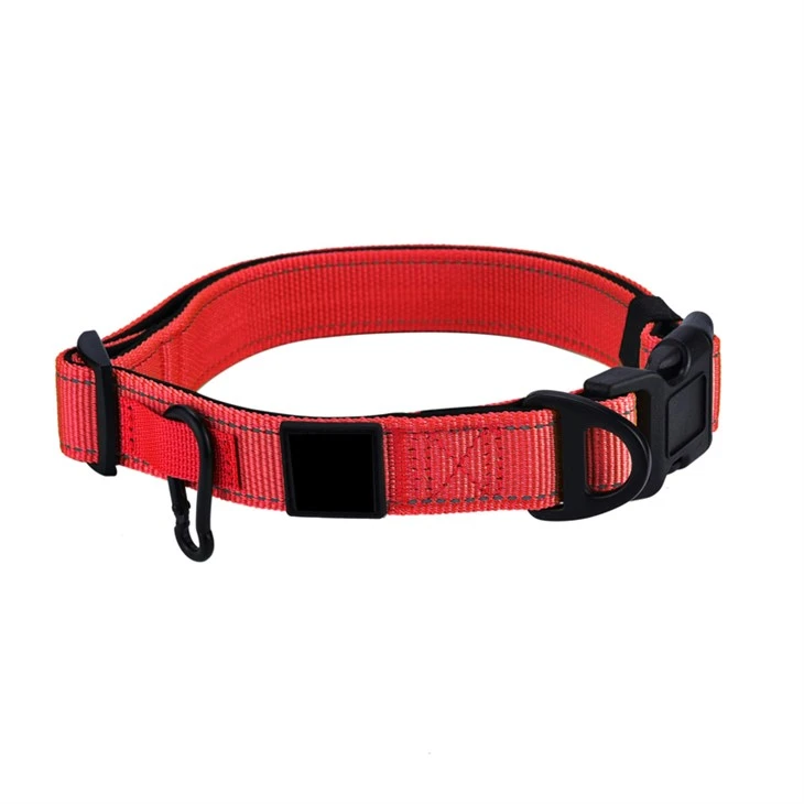 Blue Dog Collar