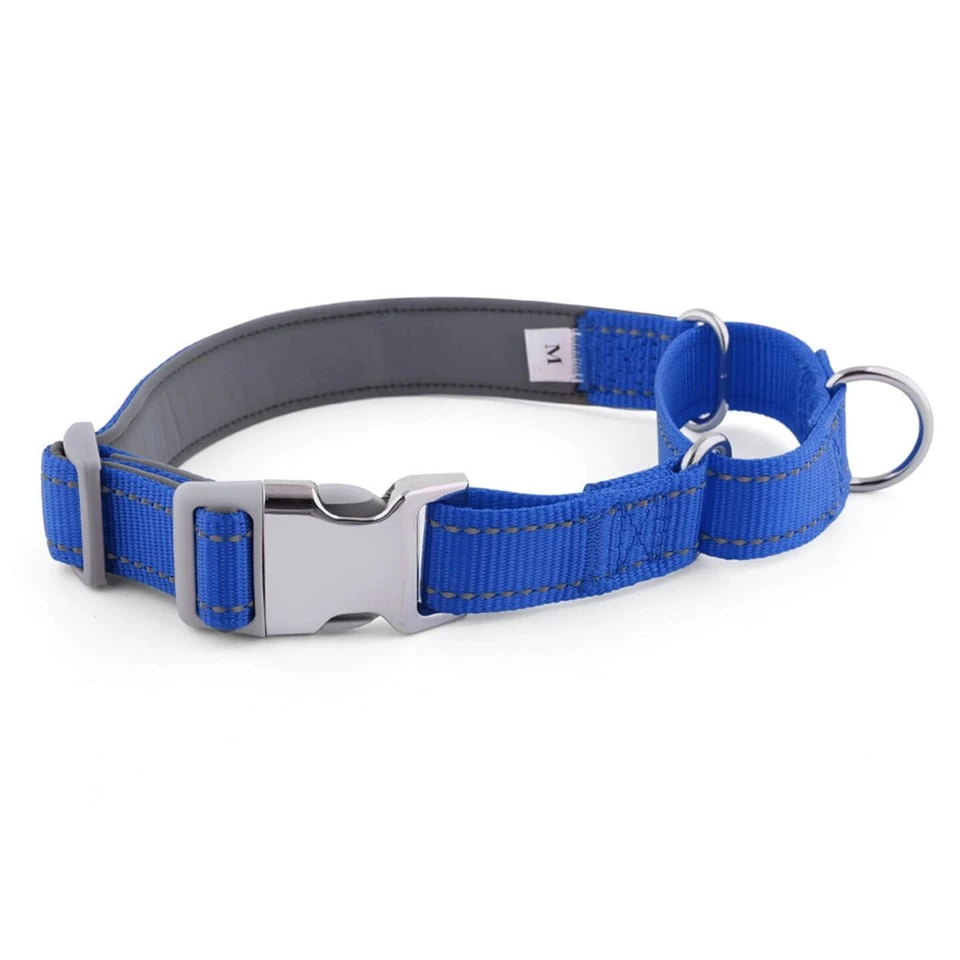 2-in-1 Martingale-Style Dog Collar factory