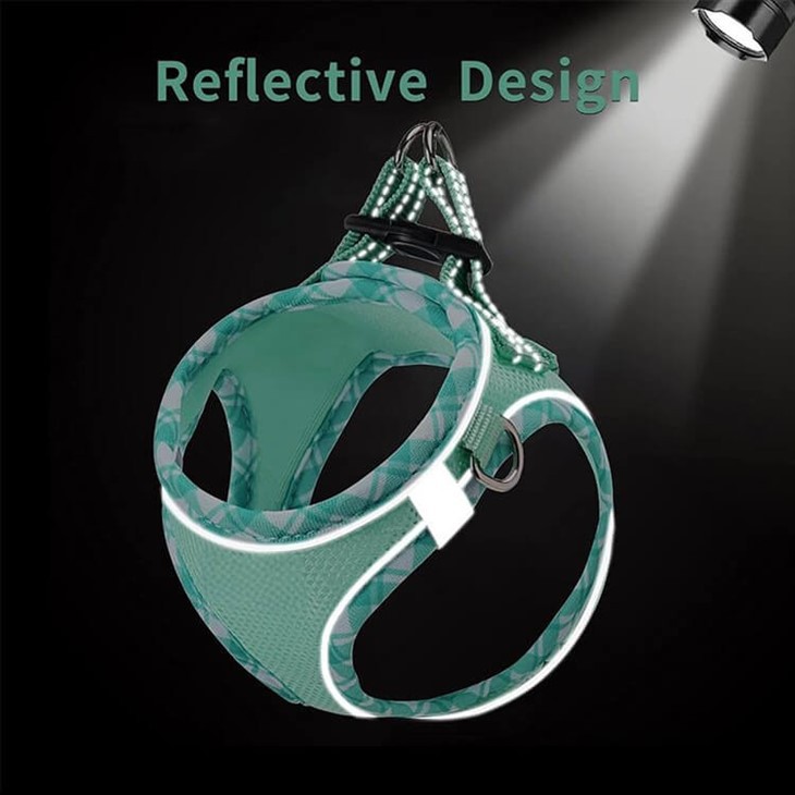 Dog Collar Harness And Lead Set best