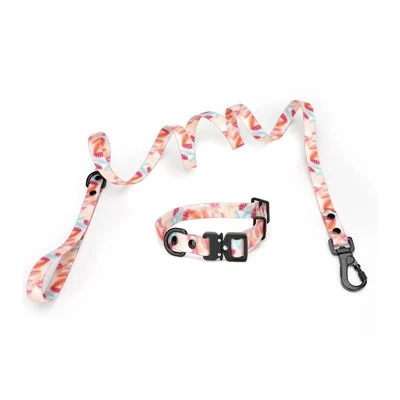 Coler Cŵn PVC a Leash